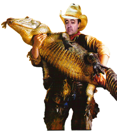 Wrestling Alligators