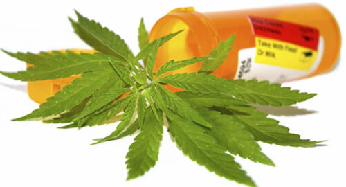 medical marijuana